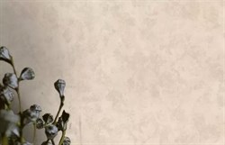 Обои EURO DECOR Allegra фон 9107-01 виниловые 1,06*10,05м (1упак-6рул) - фото 76381