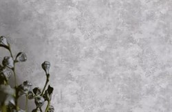 Обои VS Betone 281045 1,06*10,05м (1упак-6рул) (Ateliero) - фото 76423