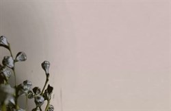 Обои VS Pantone фон 989935 1,06*10,05м (1упак-6рул) (Маякпринт) - фото 76489