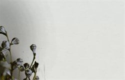 Обои VS Pantone фон 989932 1,06*10,05м (1упак-6рул) (Маякпринт) - фото 76491