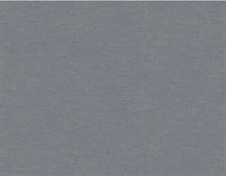 Обои VS Pantone декор 989929 1,06*10,05м (1упак-6рул) (Маякпринт) - фото 76492