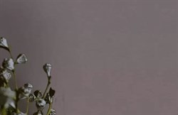 Обои VS Pantone декор 989925 1,06*10,05м (1упак-6рул) (Маякпринт) - фото 76495