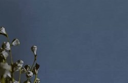 Обои VS Pantone декор 989924 1,06*10,05м (1упак-6рул) (Маякпринт) - фото 76497