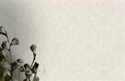 Обои AS Германия (Alberto) 38381-6 1,06*10,05м (1упак-6рул) - фото 76544