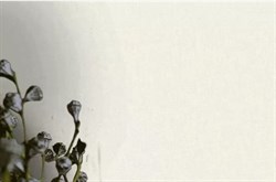 Обои VS Discovery 2.0 фон 989852 виниловые 1,06*10,05м (1упак-6рул) (МАЯКПРИНТ) - фото 76551