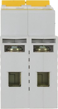 Автомат ИЭК 2Р ВА47-29 20А - фото 76721