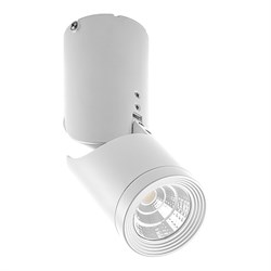 Светильник светодиодный Feron 10W 800Lm 30 градусов белый наклонный AL517 29576 - фото 80392