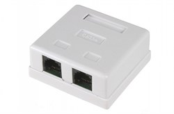 Розетка REXANT компьютерная 2*RJ-45 CAT5e 03-0151 - фото 80437