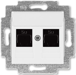Розетка ABB LEVIT информационная, 2*RJ45, категория 5e белый/белый 2CHH295118A6003 - фото 83778