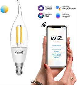 Лампа Gauss LED Smart Home Filament СF35 4,5W 495Lm E14 2000К-6500K изм.цвет.темп+дим. 1280112 - фото 87371
