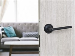 Ручка дверная ФЗ INDU BB - фото 89427