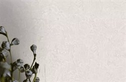 Обои EURO DECOR Champagne фон 7152-01E виниловые 1,06*10,05м (1упак-6рул) - фото 91658