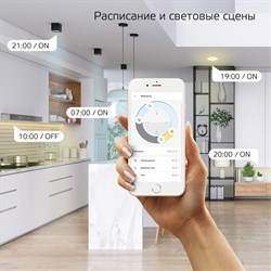 Лампа Gauss LED Smart Home Filament Diamond 6,5W 720Lm E27 2000-5500К изм.цвет.темпр.+дим. 1370112 - фото 95431