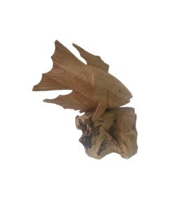 Рыбки RIKMANI на корне 4811 - фото 97471