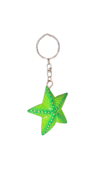 Брелок RIKMANI для ключей звезда 3335 - фото 99380