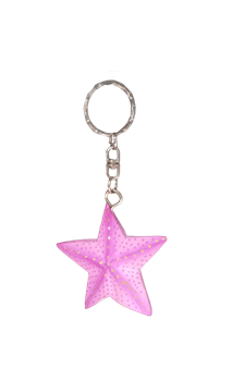 Брелок RIKMANI для ключей звезда 3335 - фото 99382