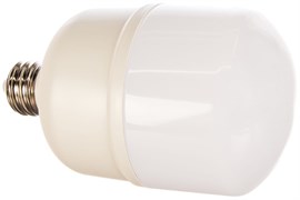 Лампа светодиодная ERGOLUX LED-HW-50W-E40-6K переходник E27/E40 в компл. 13556