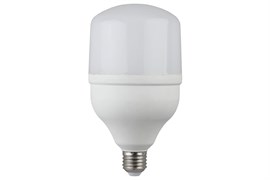 Лампа светодиодная LED Glob (464 T100 2730) T100 30W 6400K E27 220V