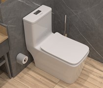 Унитаз ГРАНДФАЯНС моноблок SM9616 безободковый с крышкой дюропласт микролифт