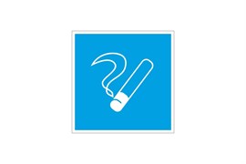 Табличка REXANT ПВХ информационный знак «Место курения» 200*200мм 56-0033-2