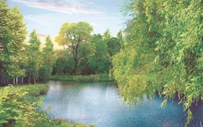 Фотообои НИКА Ива над рекой 196*280см 16 листов