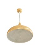 Светильник Ecolight 8003/320