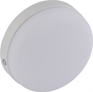 Спот накладной ЗАРЯ круглый безрамочный Рим 24W 6000-6500K