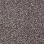 Ковролан Dynasty d.grey 75 400 FELT