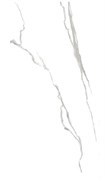 Керамогранит SEZAR NANO POLISH 120*60 2003-5/2003-6/2003-9