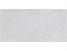 Керамогранит Steppe ceramics Scorpia Silver 120*60