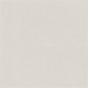 Обои EURO DECOR Fern фон 9194-01 виниловые 1,06*10,05м (1упак-6рул)
