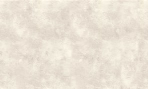 Обои АСПЕКТ РУ Акцент Штукатурка 70445-22 1,06*10,05м (1упак-6рул)