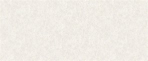 Обои VS Granada фон 989571 виниловые 1,06*10,05м (1упак-6рул) (МАЯКПРИНТ)