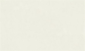 Обои ПАЛИТРА Россия FM71934-21 1,06*10,05м (1упак-6рул)