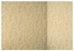 Обои SIRPI Италия 19926 1,00*10,05м (1упак-4рул) (Volterra)