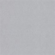 Обои АСПЕКТ РУ WallDecor 75155-62 1,06*10,05м (1упак-6рул)