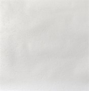 Обои ELYSIUM Альбион-фон 907301 виниловые 0,53*10м (1упак-9рул)