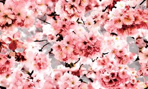 Обои ERISMANN г.Москва Trend3 6142-4 1,06*10,05м (1упак-6рул)