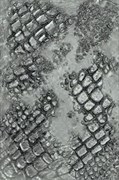 Ковры KARAT Dream 0,8*1,5 18156/190