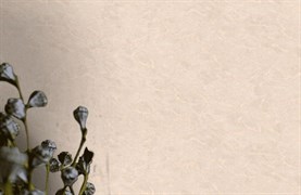 Обои VS Alicante фон 989148 1,06*10,05м (1упак-6рул) (Ateliero)