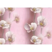 Обои EXCLUSIVE Lux 060-02 симплекс 0,53*10,05м (1упак-24рул)