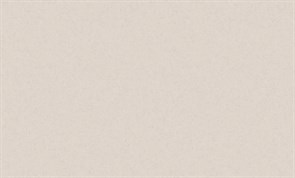 Обои ИНДУСТРИЯ IN8592-01 виниловые 1,06*10,05м (1упак-6рул)