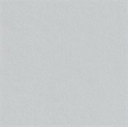 Обои ERFURT Vlies-Rauhfaser PRO 20/106 1003598 (1,06м*15м) (1упак-2рул)