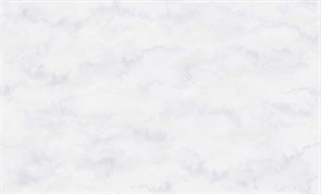 Обои ERISMANN г.Москва Naomi 60402-02 1,06*10,05м (1упак-6рул)