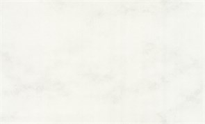 Обои АСПЕКТ РУ 70447-11 1,06*10,05м (1упак-6рул)