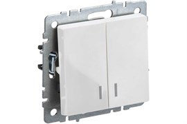 Выключатель BRITE 2-кл. с индикатором 10А белый BR-V20-1-10-K01
