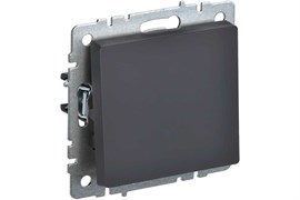 Выключатель BRITE 1-кл. 10А графит BR-V10-0-10-K53
