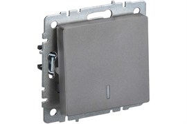Выключатель BRITE 1-кл. с индикатором 10А сталь BR-V10-1-10-K46