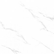 Керамогранит TSC напольная 60*60 TP66M28