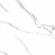Керамогранит TSC напольная 60*60 TP66M24